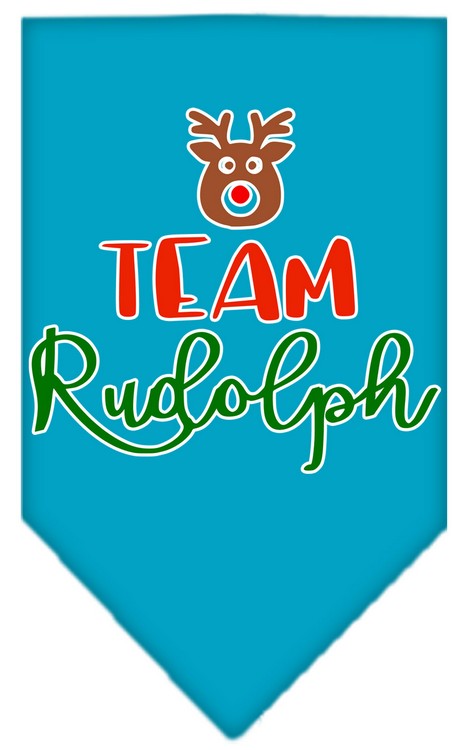 Team Rudolph Screen Print Bandana Turquoise Large